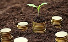 seed-money-soil-coins