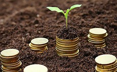 seed-money-soil-coins