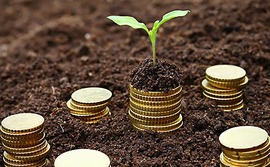 seed-money-soil-coins seed-money-soil-coins