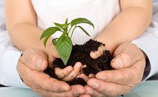 venture-youth-hands-plant-early-stage