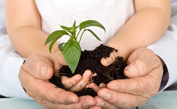 venture-youth-hands-plant-early-stage venture-youth-hands-plant-early-stage
