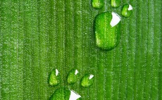 carbon-footprint-leaf-water-feet-sustainability