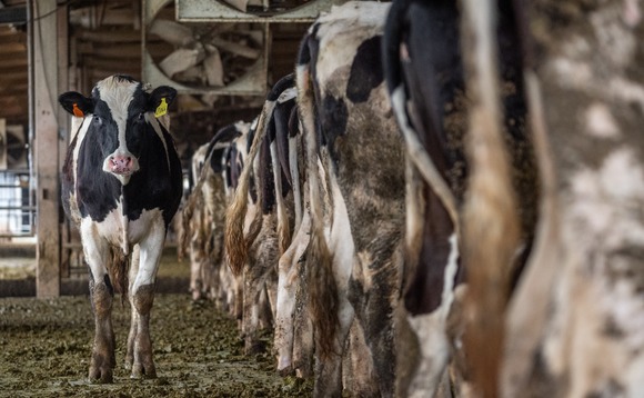 dairy-farm dairy-farm