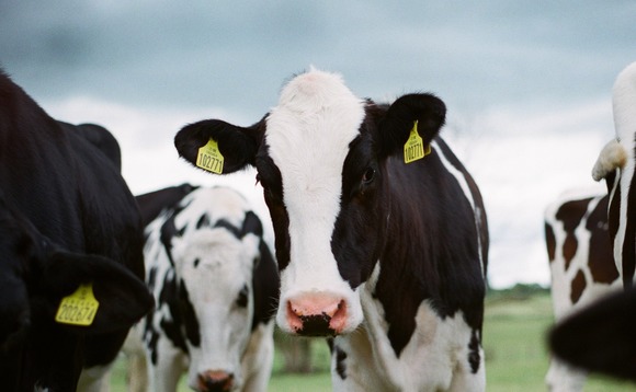 dairy-farm-02 dairy-farm-02