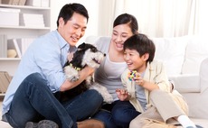 pets-dog-family