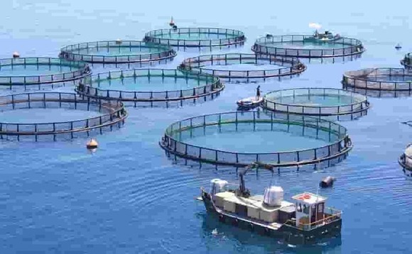 fish-farm-aquaculture