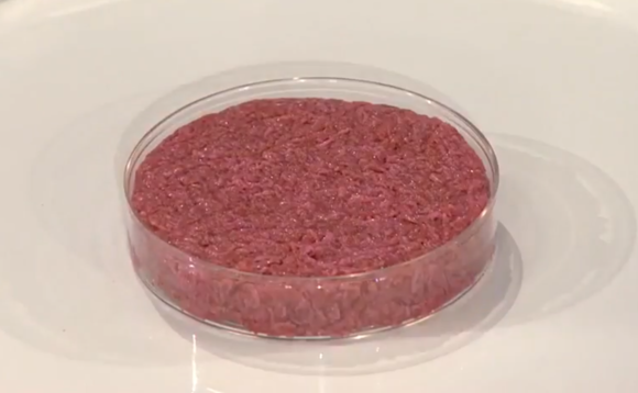 cell-cultured-meat