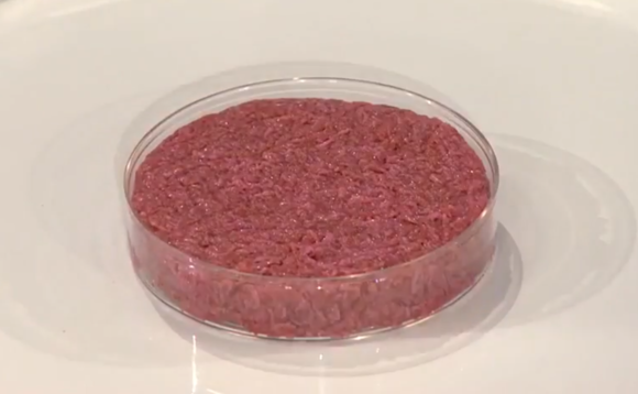 cell-cultured-meat cell-cultured-meat