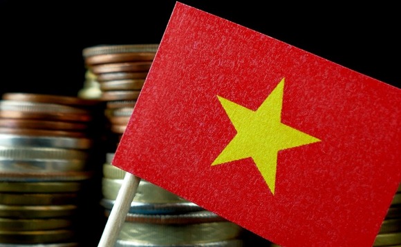 vietnam-money-flag