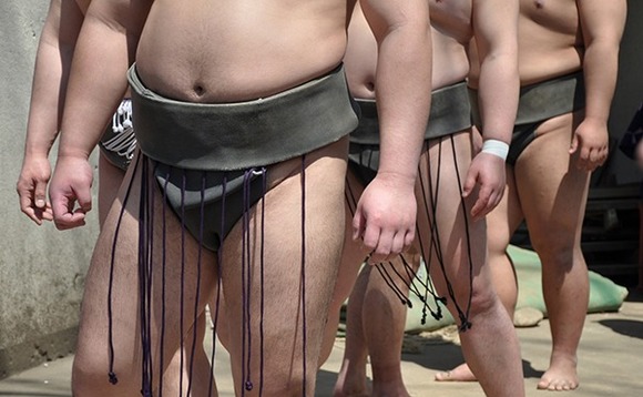 sumo sumo