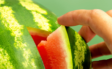 watermelon-hand-carve