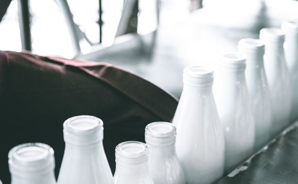 milk milk