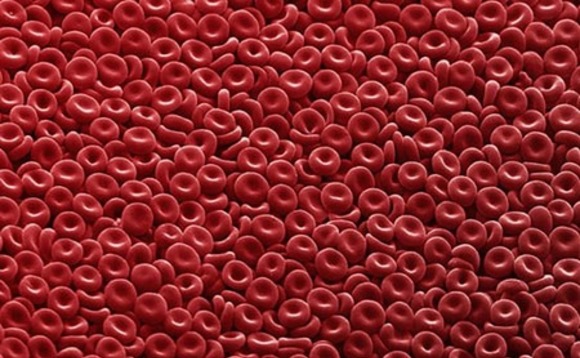 blood-cells-microscope