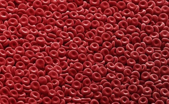 blood-cells-microscope blood-cells-microscope