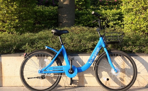 bluegogo bluegogo