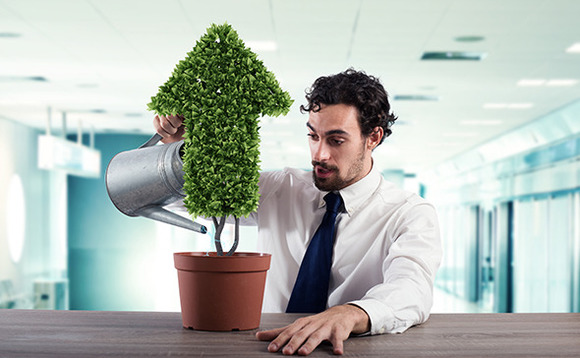 watering-plant-growth watering-plant-growth