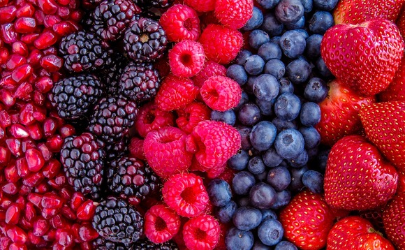 fruit-berry-blueberry-strawberry