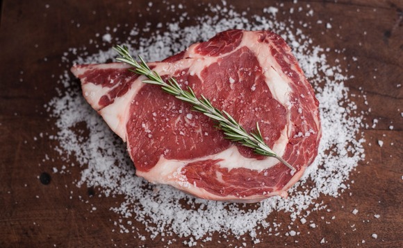 beef-meat beef-meat