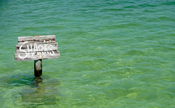 sharks-sign-25560958 sharks-sign-25560958